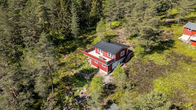 Charming summer cottage with a quiet and secluded location at the edge of the forest