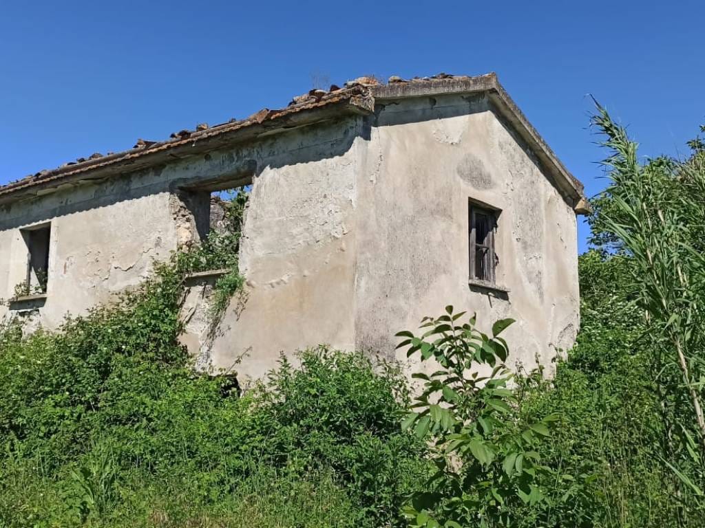 https://storage.googleapis.com/homestra-images/property-image-d993215a-e277-4c68-a625-e2fea6a7c49d-1753384452.jpg