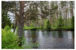 https://bilder.hemnet.se/images/itemgallery_cut/fd/6c/fd6cd2596075a8091c7f8855486d70b3.jpg