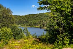 https://images.finncdn.no/dynamic/1280w/2026/6/vertical-2/26/6/468/145/846_1c0011d0-1623-4335-b52d-3ddb2b9734bf.jpg