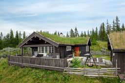 https://images.finncdn.no/dynamic/1280w_webp/2025/9/vertical-2/11/7/422/675/037_244c598d-d4cf-4004-ba61-6892d5172d6d.jpg
