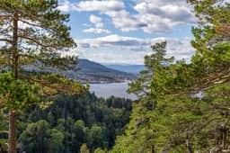 https://images.finncdn.no/dynamic/1600w/2026/9/vertical-2/07/8/475/818/148_97fa1e1d-1010-47a3-b29c-c257c97eb812.jpg