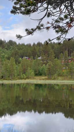 https://images.finncdn.no/dynamic/1600w/item/468171643/a9f62266-7313-4d65-9a62-6fc2a7415b73