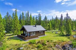 https://images.finncdn.no/dynamic/1600w_webp/2025/10/vertical-2/17/7/414/164/517_a4cbcb6d-a793-4dd1-b2a4-98438a7a54b8.jpg