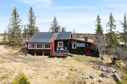 https://images.finncdn.no/dynamic/1600w_webp/2025/5/vertical-2/12/4/407/488/874_609d5f59-77f4-43ed-9127-18b94ab52788.jpg