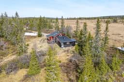 https://images.finncdn.no/dynamic/1600w_webp/2025/5/vertical-2/12/4/407/488/874_a2f98075-8831-4970-9ca5-c37e364ed53e.jpg