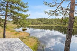https://images.finncdn.no/dynamic/1600w_webp/2025/6/vertical-2/20/4/413/460/774_10f6b64e-3dfb-4d16-9519-dd9b95d63c12.jpg