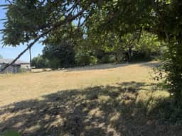 https://media.rightmove.co.uk/property-photo/0d19489b9/94338534/0d19489b913098030f34ead4e217fbe3.jpeg