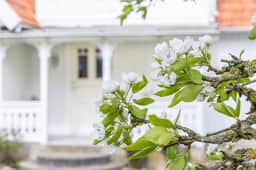 https://storage.googleapis.com/homestra-images/property-image-02b122f6-9b58-4e42-9298-0adbc9ac7cf9-1747160040.jpg