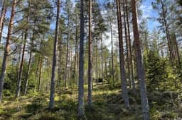 https://storage.googleapis.com/homestra-images/property-image-324f5564-2599-441c-ae7d-f4c407fe486c-1749059389.jpg