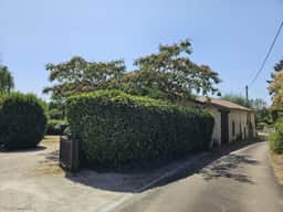 https://storage.googleapis.com/homestra-images/property-image-40a0eb40-4948-484a-83dc-b7c22f0023e9-1752862673.jpg