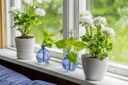 https://storage.googleapis.com/homestra-images/property-image-4acffcc5-020b-4162-a7be-74fa01ce76eb-1752002014.jpg
