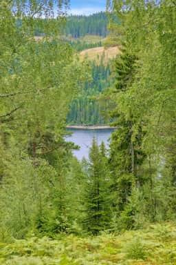https://storage.googleapis.com/homestra-images/property-image-619178c4-357d-46a3-bba3-0e4372276901-1755965093.jpg