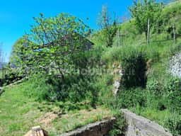 https://storage.googleapis.com/homestra-images/property-image-a2f528d5-66a4-477a-8c0d-542b04fe03e5-1752002118.jpg