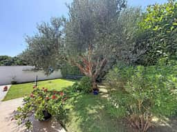 https://storage.googleapis.com/homestra-images/property-image-abf72b4b-3b16-4158-8f00-3b6f9d4749ba-1786271612.jpg