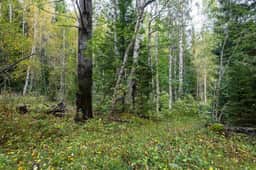 https://storage.googleapis.com/homestra-images/property-image-b31cacd1-4c8c-42a4-a2eb-a01645f4faeb-1758738085.jpg