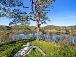 https://storage.googleapis.com/homestra-images/property-image-b752a753-5b94-4368-8840-a0272c9513fd-1759399454.jpg