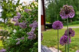 https://storage.googleapis.com/homestra-images/property-image-bbd85cdb-fc09-4c67-8339-55f41485e7a8-1752000090.jpg