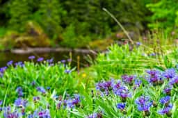 https://storage.googleapis.com/homestra-images/property-image-f921ebeb-af32-45b3-97f1-47d489df1486-1749399437.jpg
