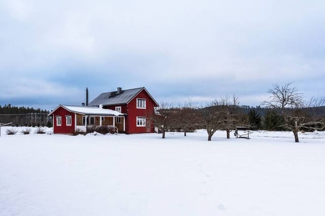Front view of the house and garden