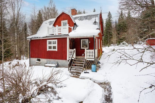 Front view of the house and garden