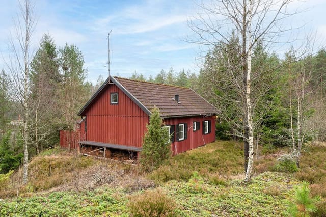 Exterior view of the house and garden