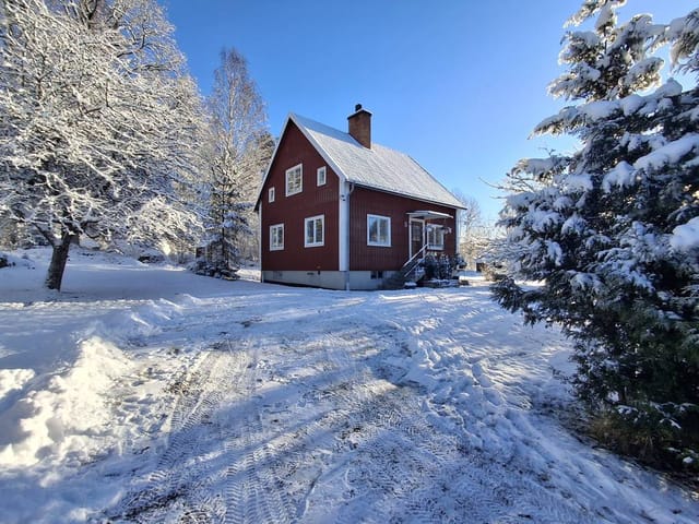 Front view of the house and garden