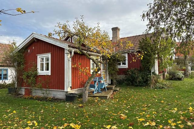 Front view of the house and garden