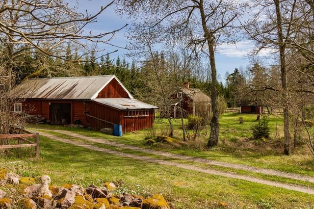 Exterior view of the cottage and garden