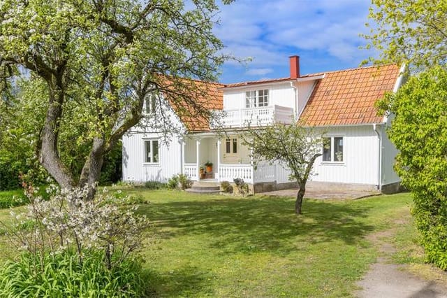 Front view of the house and garden