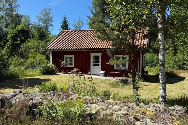 Front view of the cottage and garden