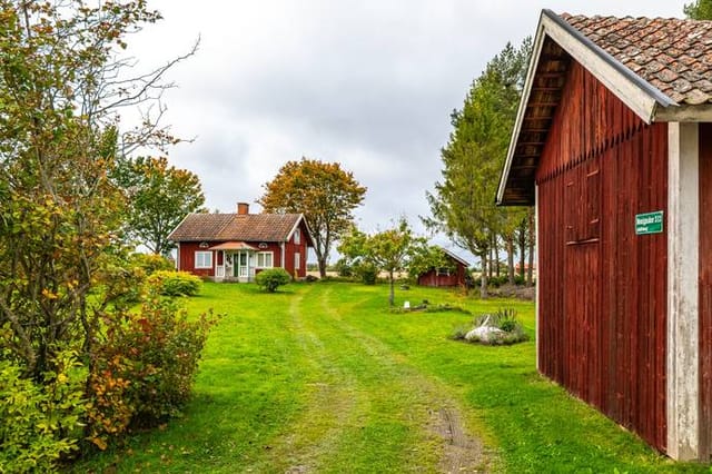 Exterior view of the cottage and garden
