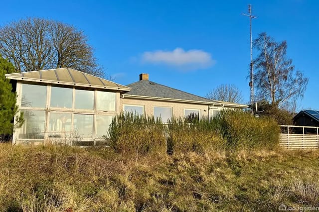 A single-storey house with a conservatory, surrounded by wild bushes and grass under a clear blue sky.