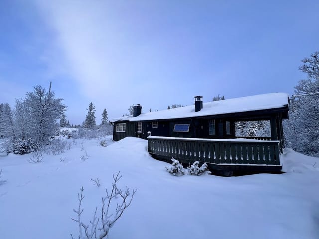 Winter photo taken by real estate agent 06.01.2026