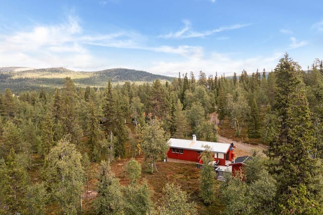 Welcome to Flendalsveien 1967!