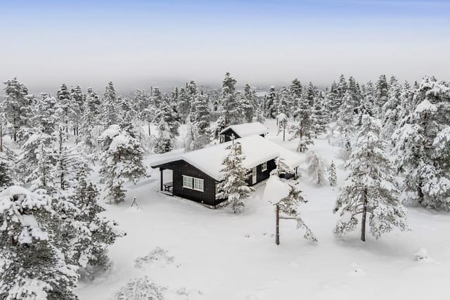 Front view of the cabin