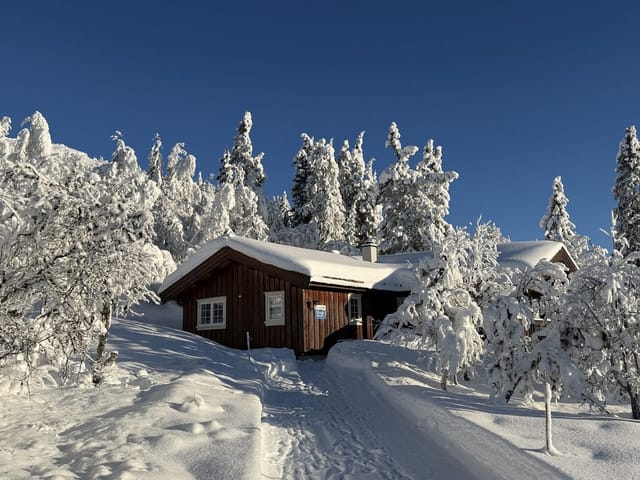 Welcome to Gulltjønnvegen 236!
