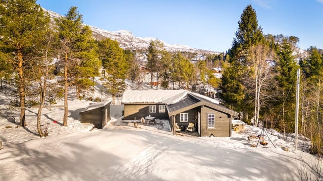 Front view of the cabin