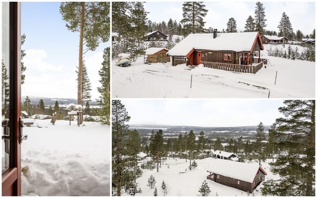 Welcome to Furutangen and Åkerveien 69!