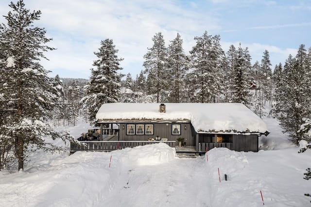 Welcome to Trysil-Knuts Fjellverden and Fjellverden Øst 133! Photo: Bernat Tubau.