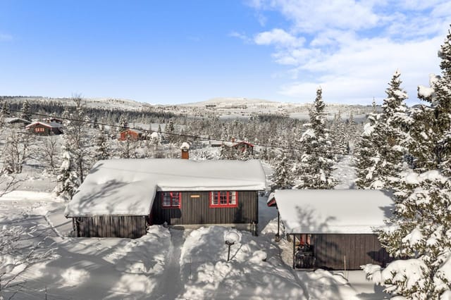 Privatmegleren Hallingdal v/ Thea Viko Eidsgård presents Nørdre Einarsetlie 9!