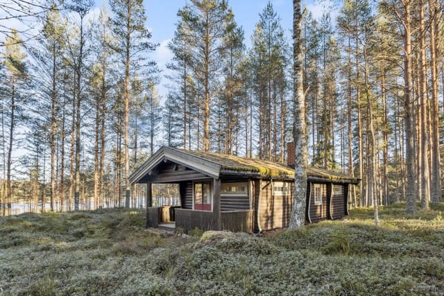 Welcome to Gravbergsvegen 850! Photo: Elisabeth Gjerdingen