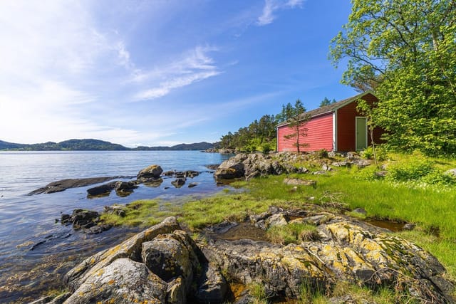 Welcome to Mildevegen 171!