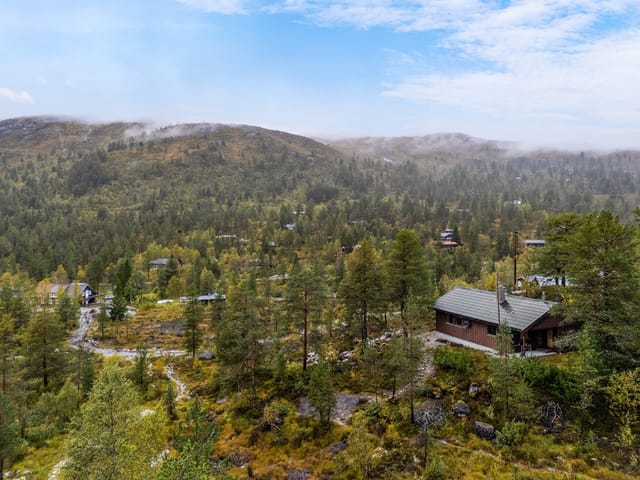 Mountain cabin at Mjølfjell with large plot
