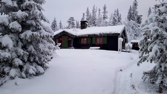 Welcome to Teinvassåsenvegen 445! (Seller's photo)