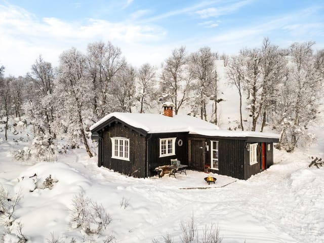 Front view of the cabin with sunny and fantastic location