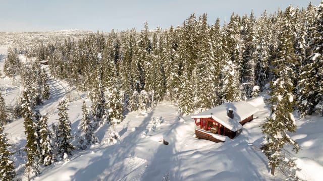 Welcome to Holmvassvegen 56 – a beautiful family cabin.