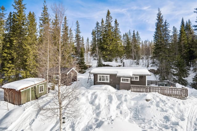 Front view of the cabin