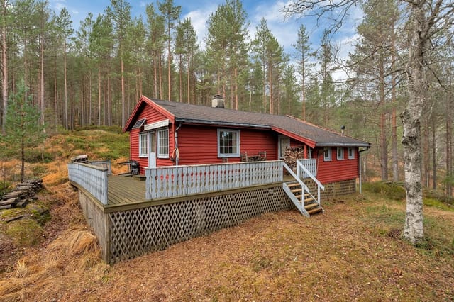 Front view of the cabin