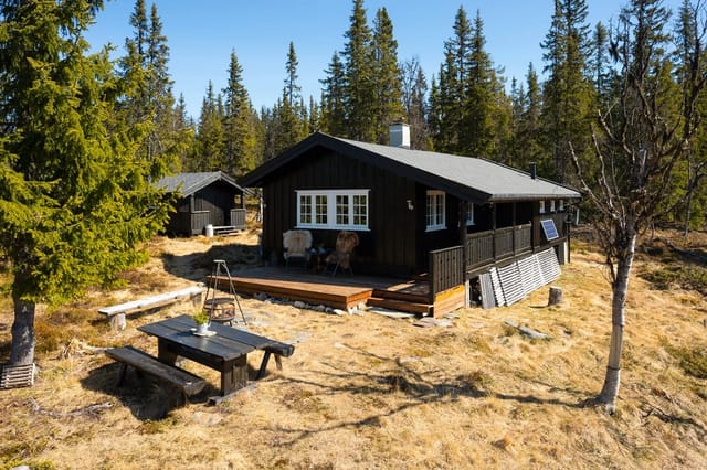 Front view of the cabin